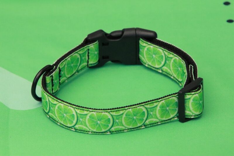 Citrus mintás nyakörv - Image 4